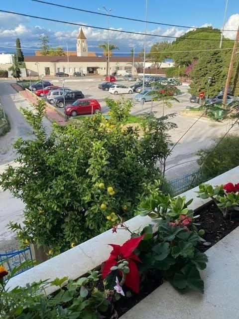 Liri family paradise