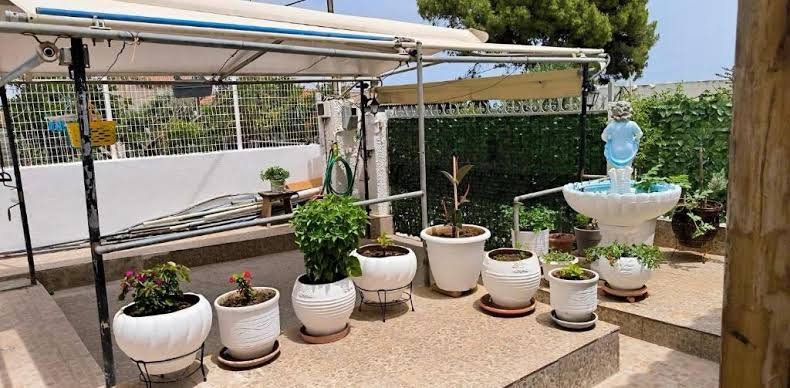 Modular Bungalows With Heated Pool Artemis Greece