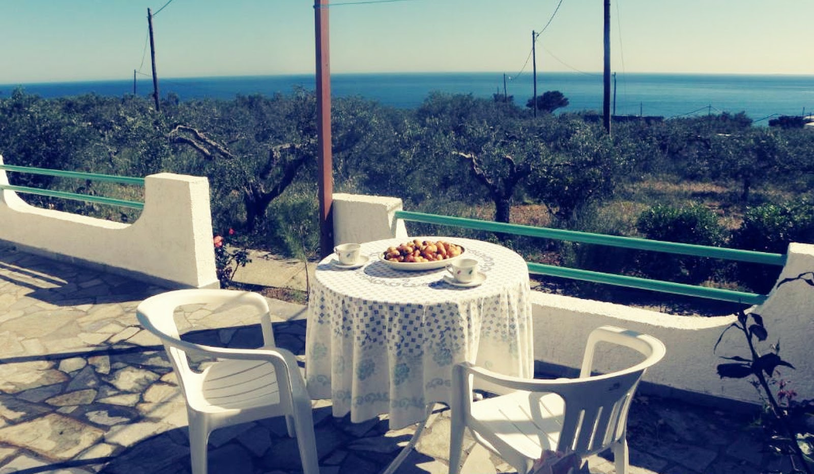 New Aurora Apts Studios