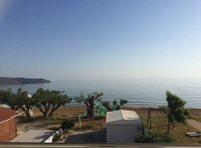 Tree of Life Art Hotel